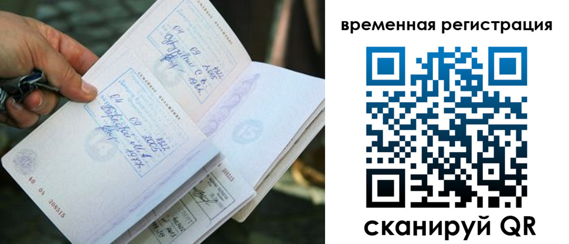 прописка для школы в Вязьме